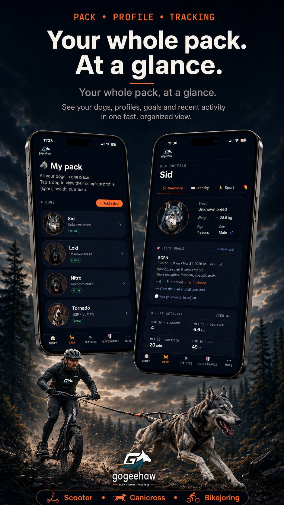 gogeehaw pack view: all your dogs, profiles and recent activity